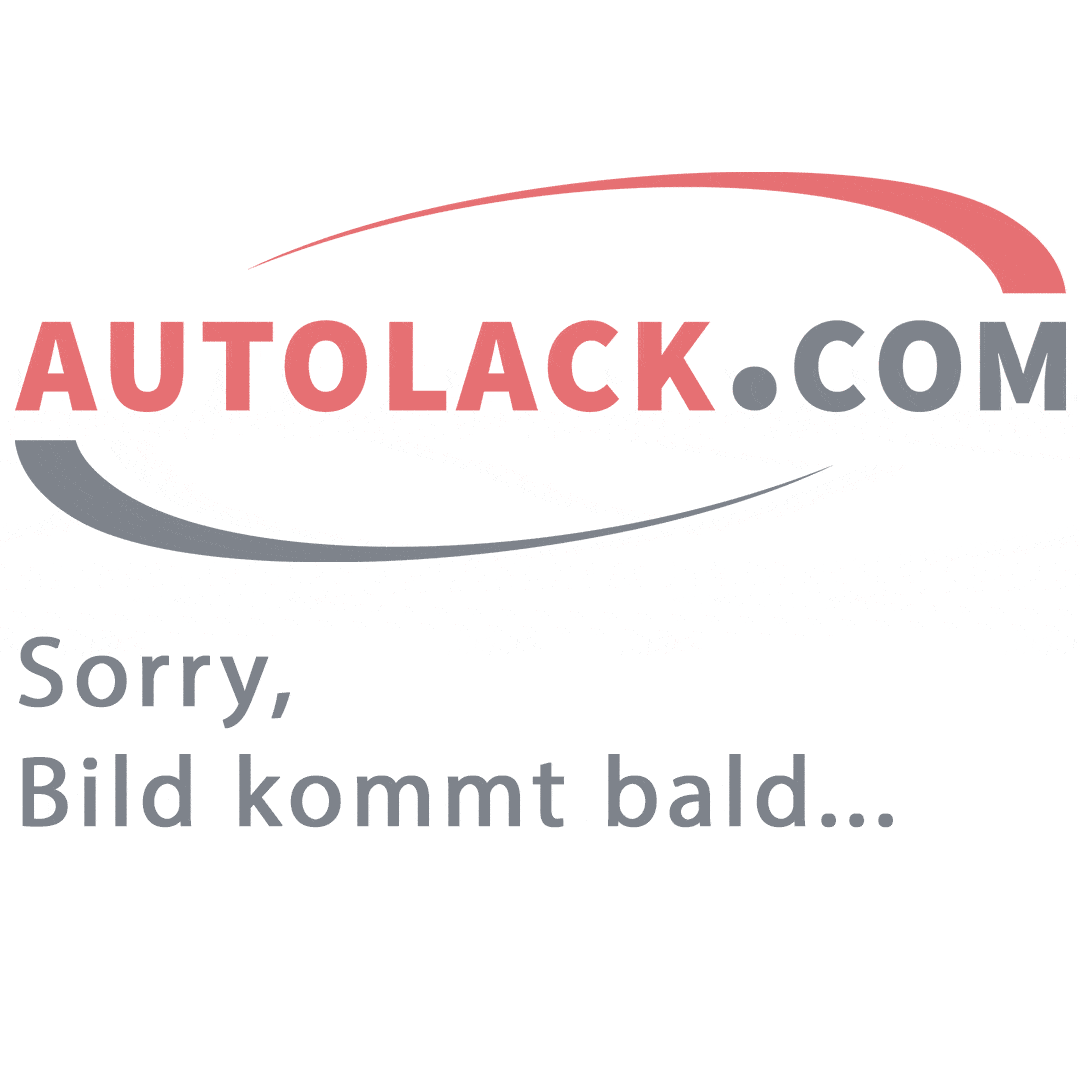 Relo Glasfaserspachtel PE 1,5 kg inkl. Härter