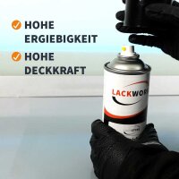 Basislack Spr&uuml;hdosen Auswahl